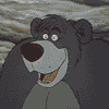 imagey7.gif